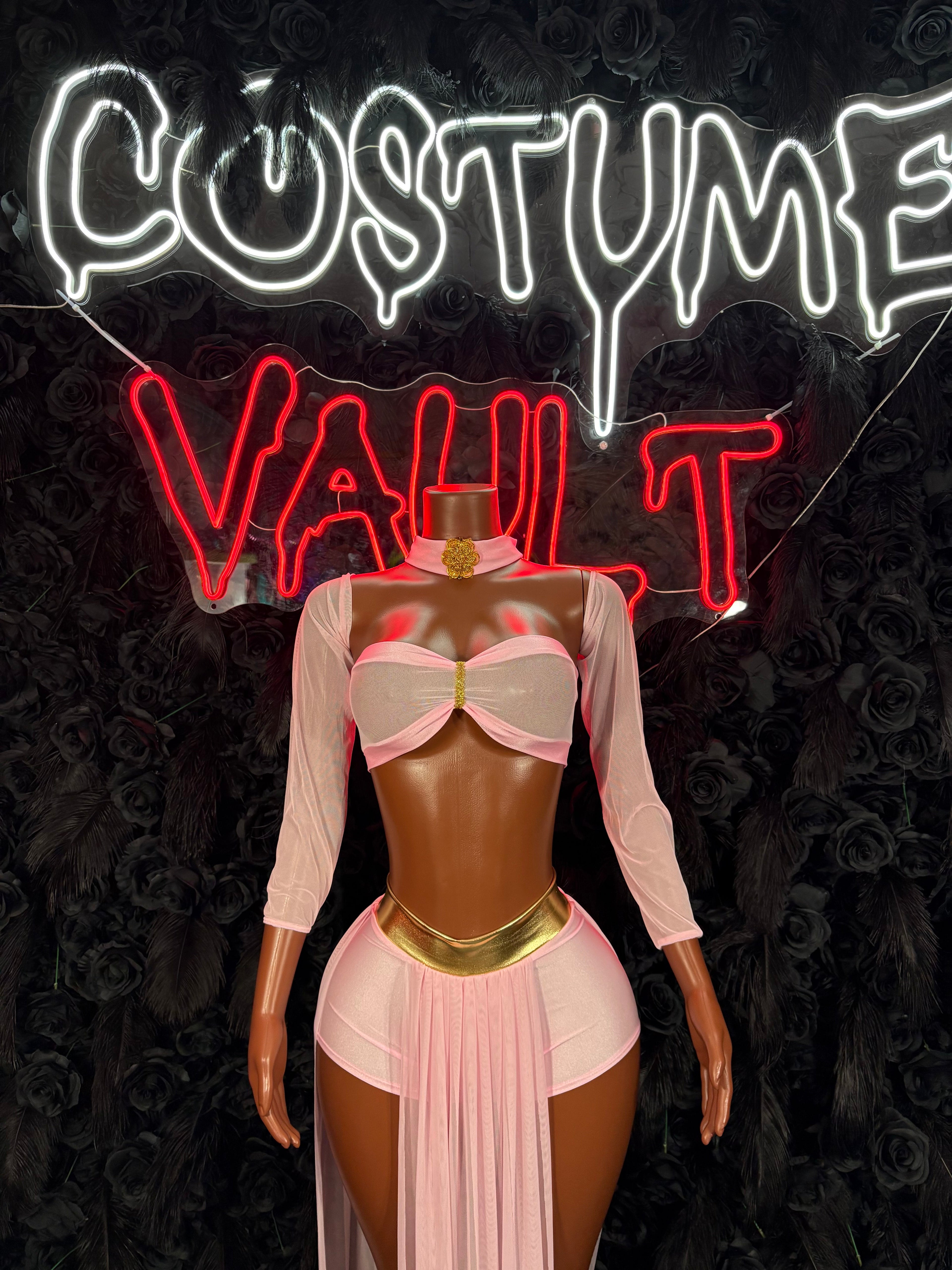 Blush Pink Fantasy Princess Costume Set - Sheer Crop Top & Draped Skirt front view - Costume Vault